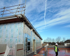 kingston_darras_school_sfs_6 Darras School Cement Particle Boarding